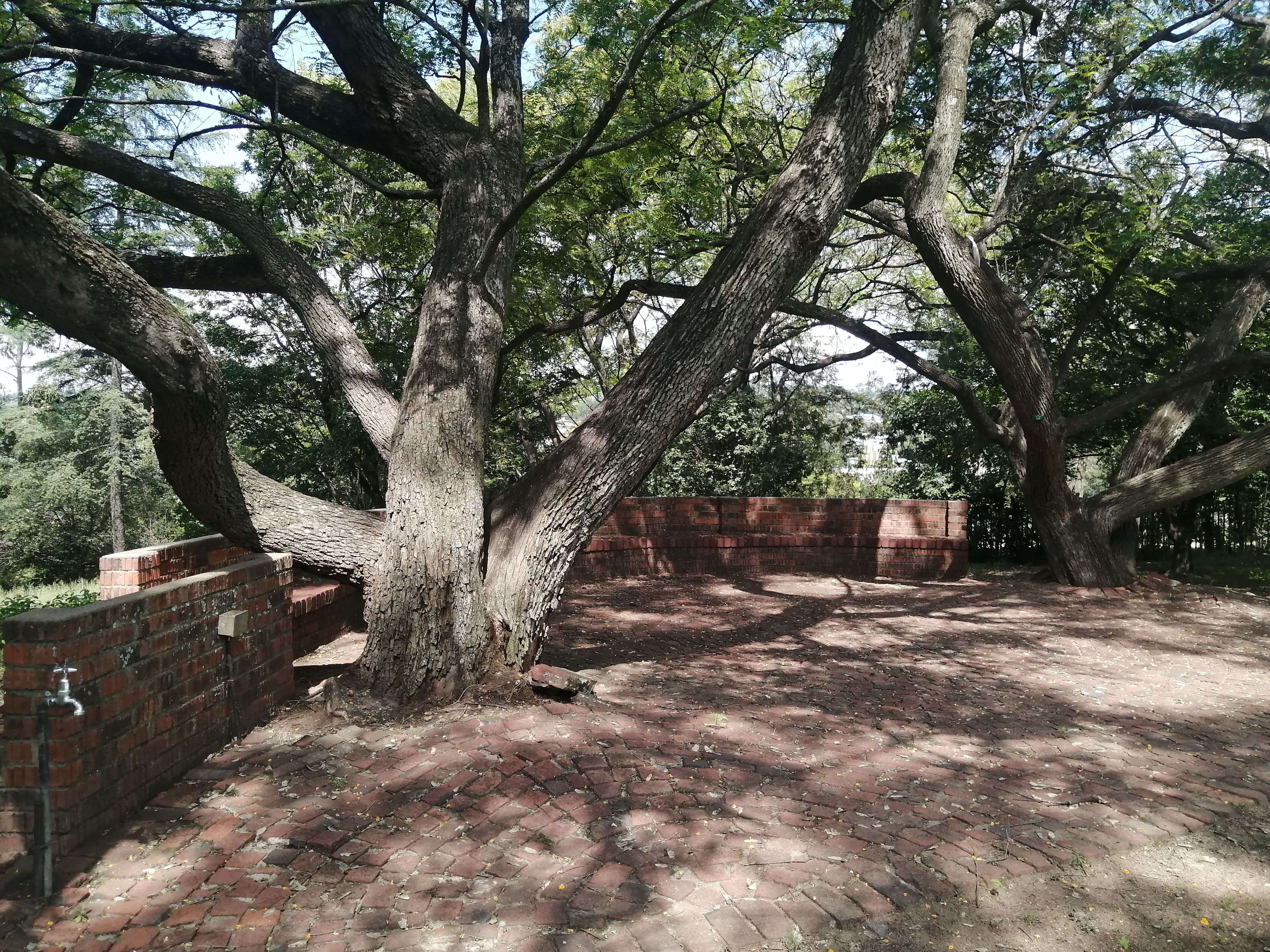 Bricked outside area with tap and plug point
